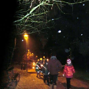 Waldweihnacht