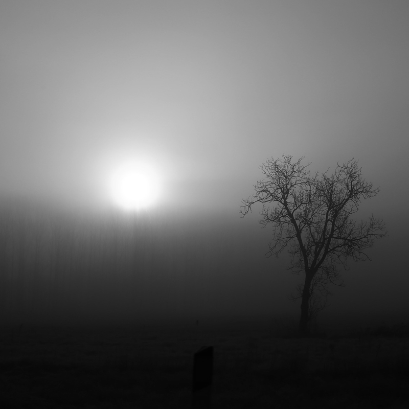 Sonnenaufgang im Nebel